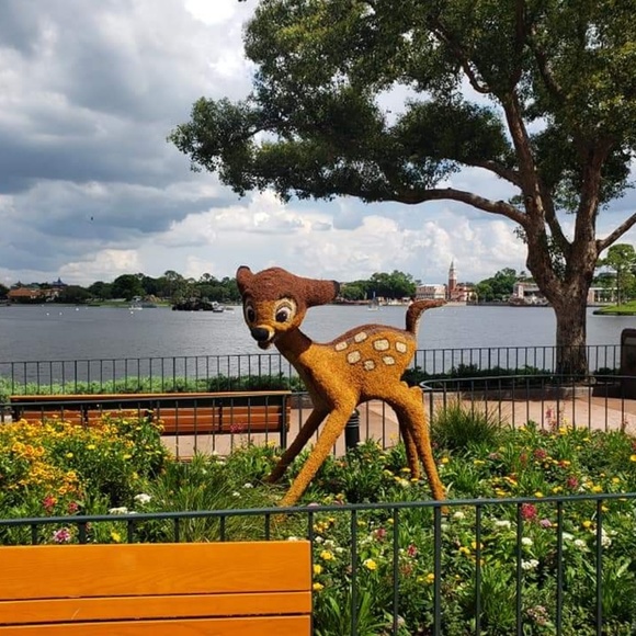 Meet your Posher, Lana - Picture 3 of 7